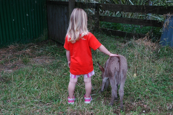 Granddaughter Anouk with foal.